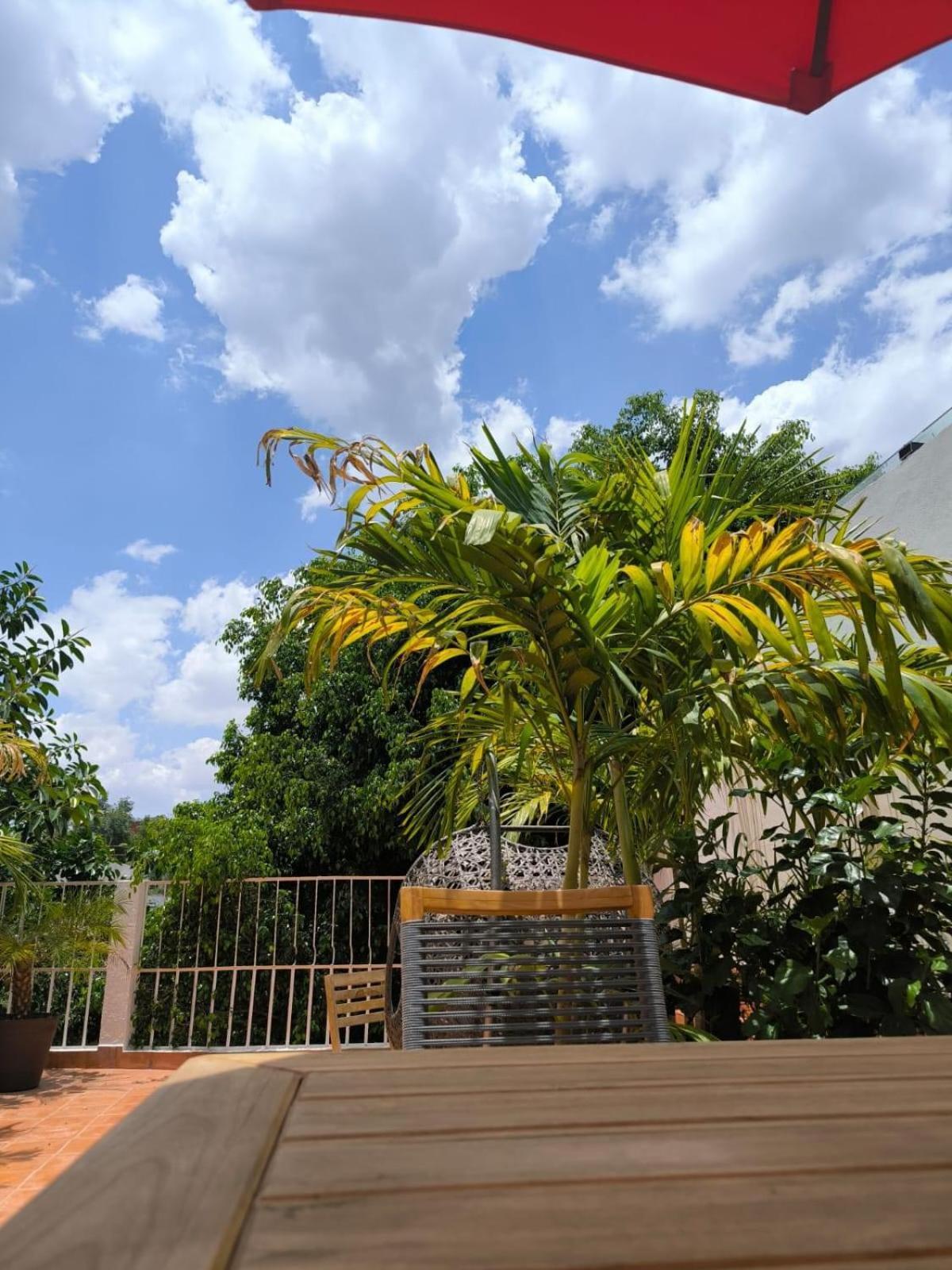 Casa Frida Condesa Bed and Breakfast Μεξικό Εξωτερικό φωτογραφία